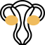 Uterus icon 64x64