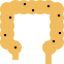 Intestine icon 64x64