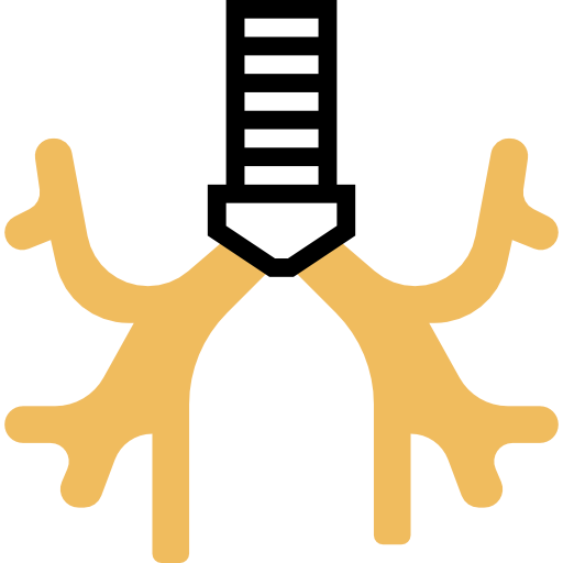 Bronchus icon