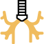 Bronchus icon 64x64