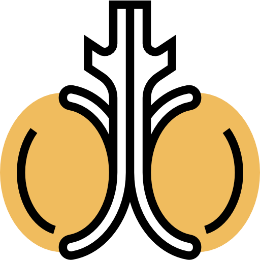 Testicles icon