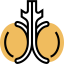 Testicles icon 64x64