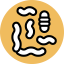 Microorganism icon 64x64