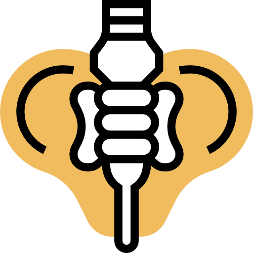 Pelvis icon