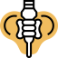 Pelvis icon 64x64