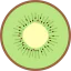 Kiwi icon 64x64