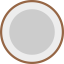 Coconut icon 64x64