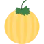 Melon icon 64x64