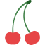 Cherry icon 64x64