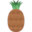 Pineapple icon 64x64
