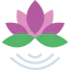 Lotus icon 64x64