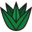 Agave icon 64x64