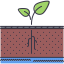 Sprout icon 64x64