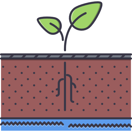 Sprout icon