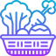 Vegetables icon 64x64