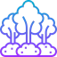 Forest icon 64x64