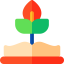 Growth icon 64x64
