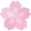 Cherry blossom icon 64x64