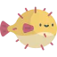 Blowfish icon 64x64