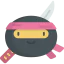 Ninja icon 64x64