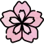 Cherry blossom icon 64x64