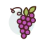 Grapes icon 64x64