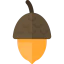 Acorn icon 64x64