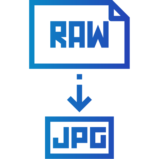 Raw file icon