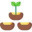 Seeds icon 64x64