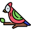 Bird icon 64x64