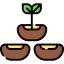 Seeds icon 64x64