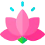 Lotus icon 64x64