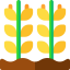 Rice icon 64x64