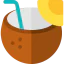 Coconut drink icon 64x64