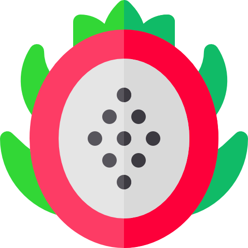 Dragon fruit icon