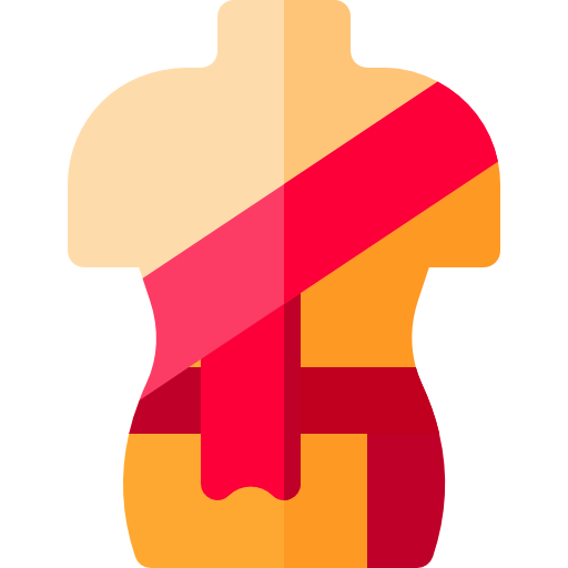 Clothes icon