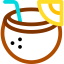 Coconut drink icon 64x64