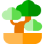 Bonsai icon 64x64