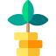 Growth icon 64x64