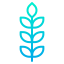 Wheat icon 64x64