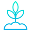 Sprout icon 64x64