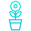 Flower icon 64x64