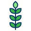 Wheat icon 64x64