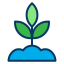 Sprout icon 64x64