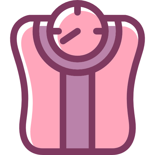 Scale icon