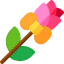 Rose icon 64x64
