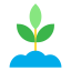 Sprout icon 64x64