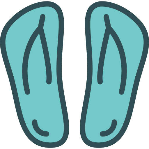 Flip flops icon