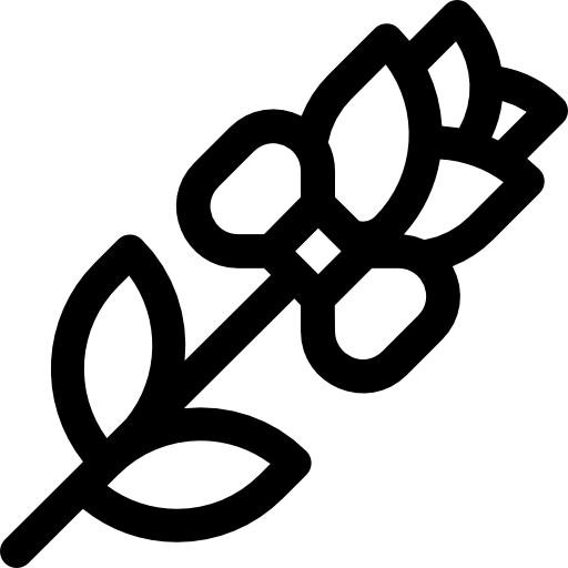 Rose icon