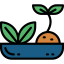 Herbal icon 64x64